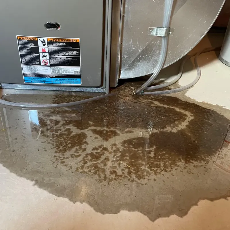 Appliance Leak Cleanup in Billings County, ND